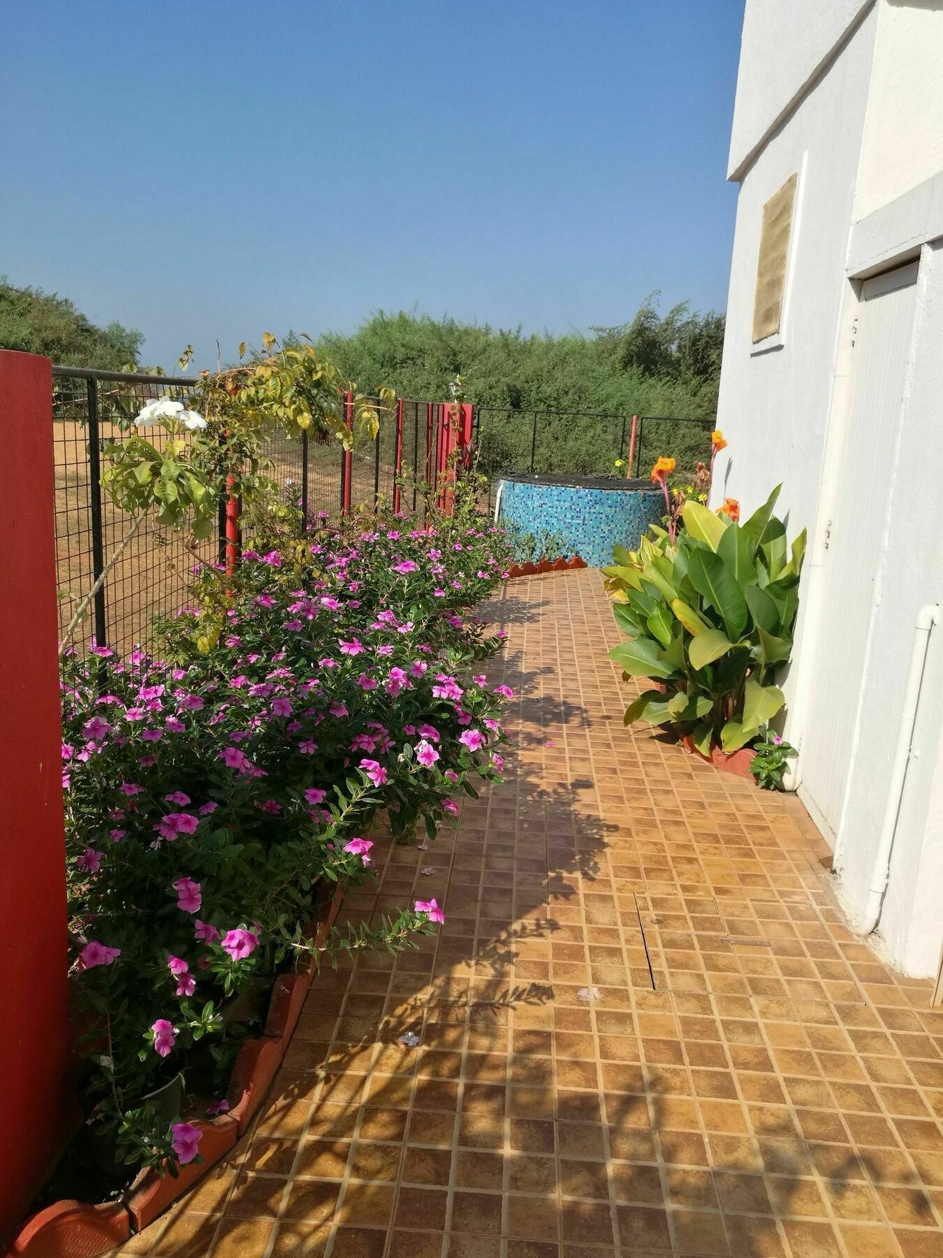 Sea Pearl Guesthouse Candolim Exterior photo